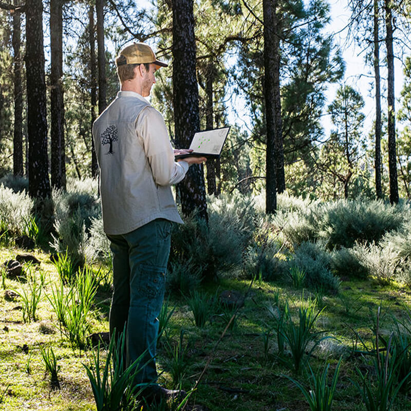 A man in the center of the image is holding a laptop and standing under a canopy of trees in a forest.