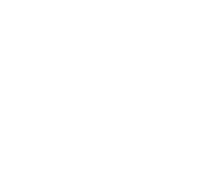 PD 3.0 icône